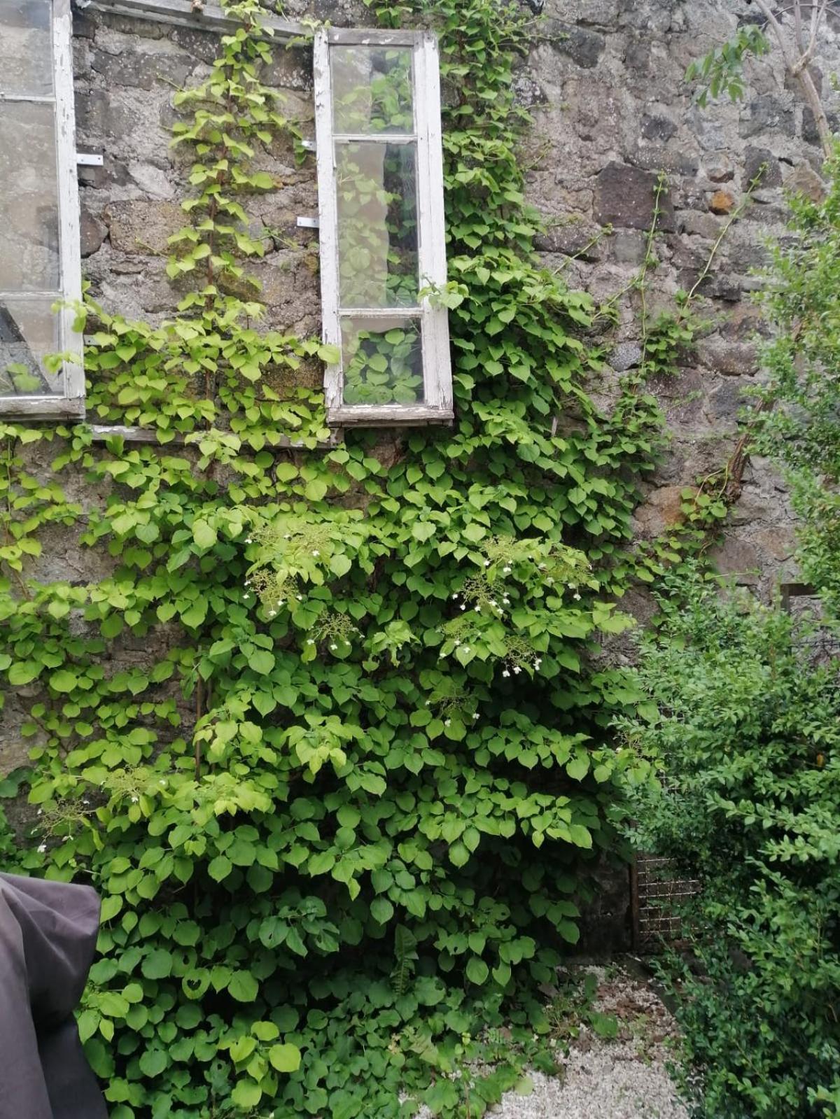 Le Cosy De Claire Villa La Bourboule Eksteriør billede